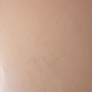 Meet your Posher, Briana